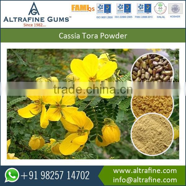 100% Natural Cassia Tora Powder at Very Good Price