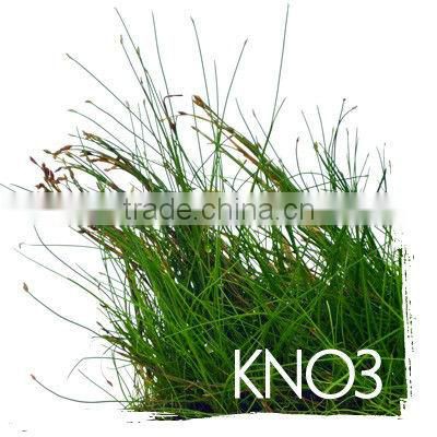 Potassium Nitrate - PN