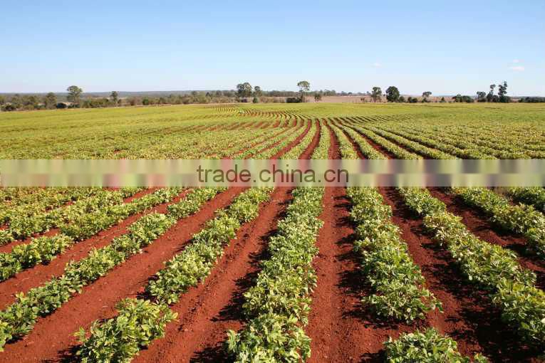 Ammonium Sulphate Technical grade