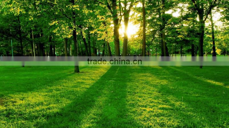 Potassium Sulphate Food Grade