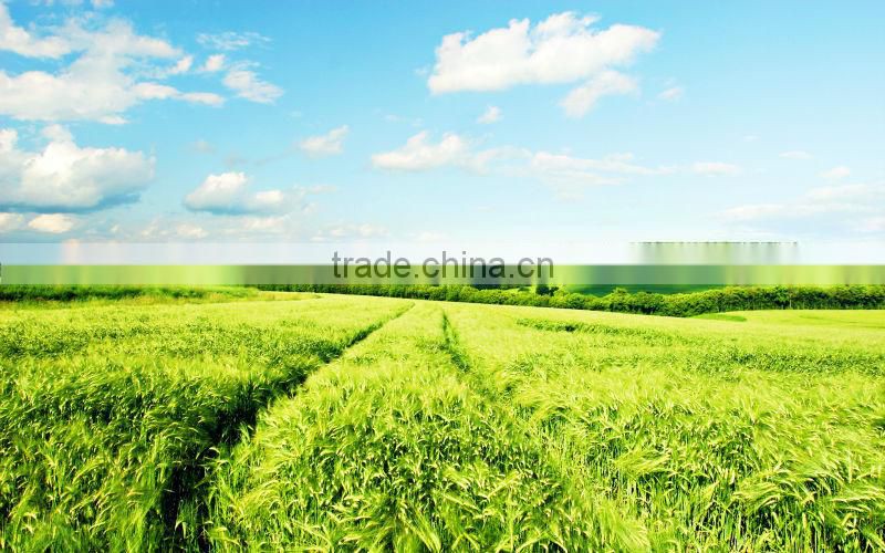 Mono Ammonium Phosphate Fertilizer Grade