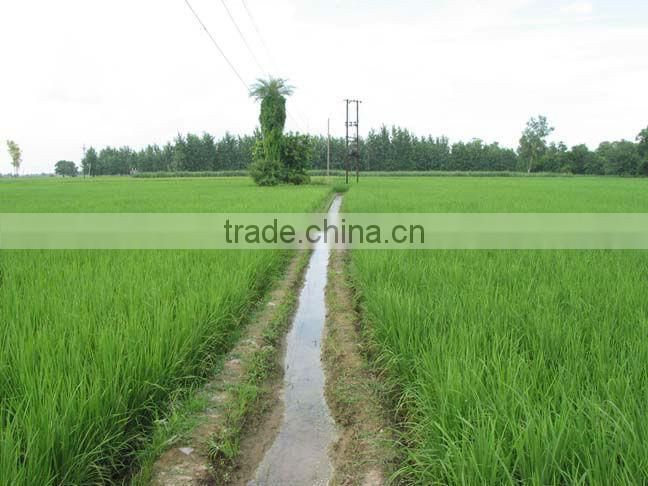 Industrial grade water soluble Potassium Sulphate