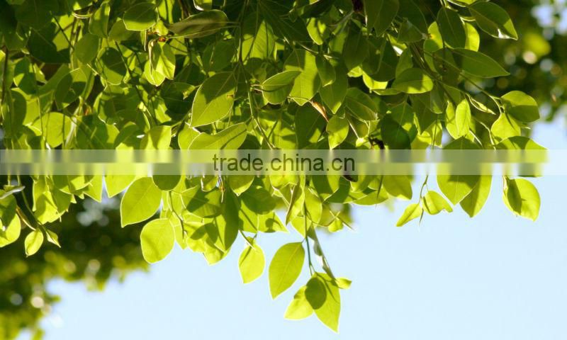 Mono Ammonium Phosphate Fertilizer Grade