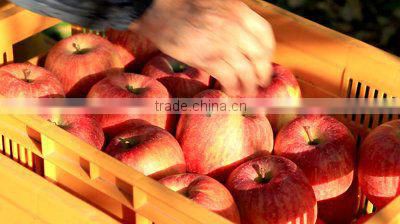 Ammonium Sulphate Soluble