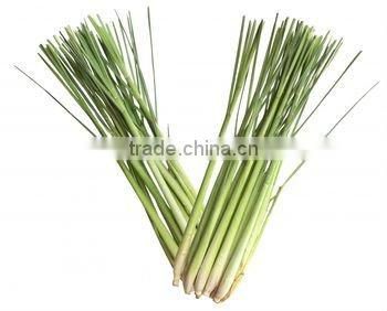Lemongrass Essential Oils
