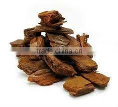 Pine Bark Oil