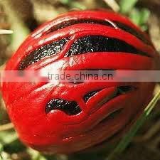 Spice Oils, Oleoresins and Herbal Extracts