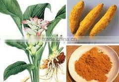 Curcumin 95%