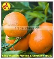 Mandarin Oil Natural
