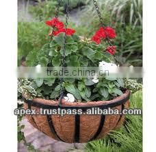 Low Price Eye-Catching Look Hanging Basket with Coco Liner for Sale