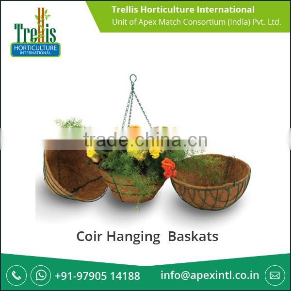 Unbelievable Price Faster Plant Grow Coir Hanging Basket for Garden Stores