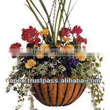Low Price Eye-Catching Look Hanging Basket with Coco Liner for Sale