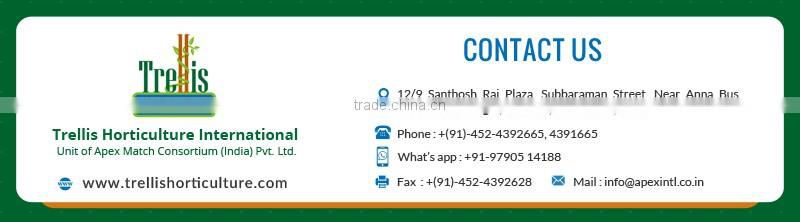 Unbelievable Price Faster Plant Grow Coir Hanging Basket for Garden Stores