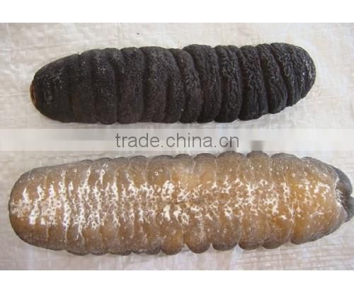 dried sea cucumber with HACCP Certificate from Vietnam