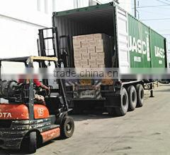 Canned tuna in sunflower oil