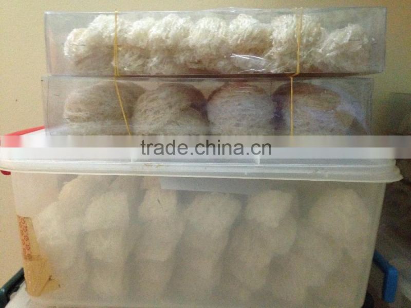 Vietnam bird nest with hot sale, natural feeding swiftlet
