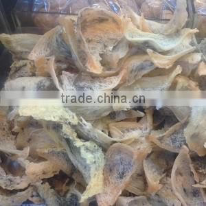 Vietnamese raw bird nest (orange), full nest, natural feeding swiftlet