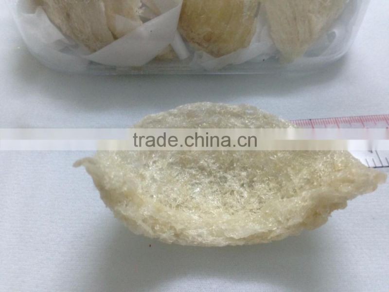 Vietnamese bird nest with high quality, natural feeding swiftlet