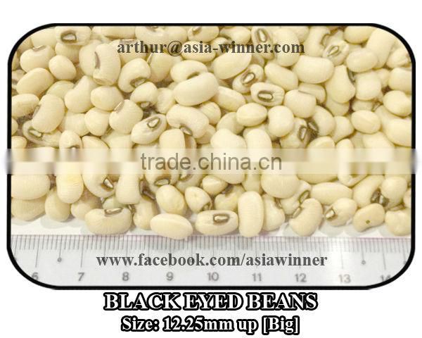 Cowpeas [Big]