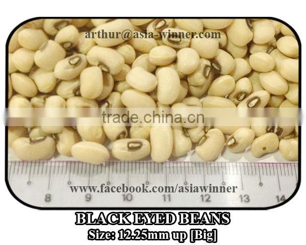 Cowpeas [Big]
