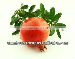 Freeze Dried Pomegranate Arils