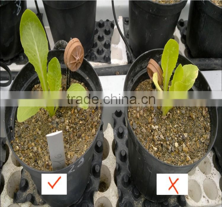 Agrolink Amino Acid Powder 70% Fertilizer Animal Origin Food Grade Plant Origin