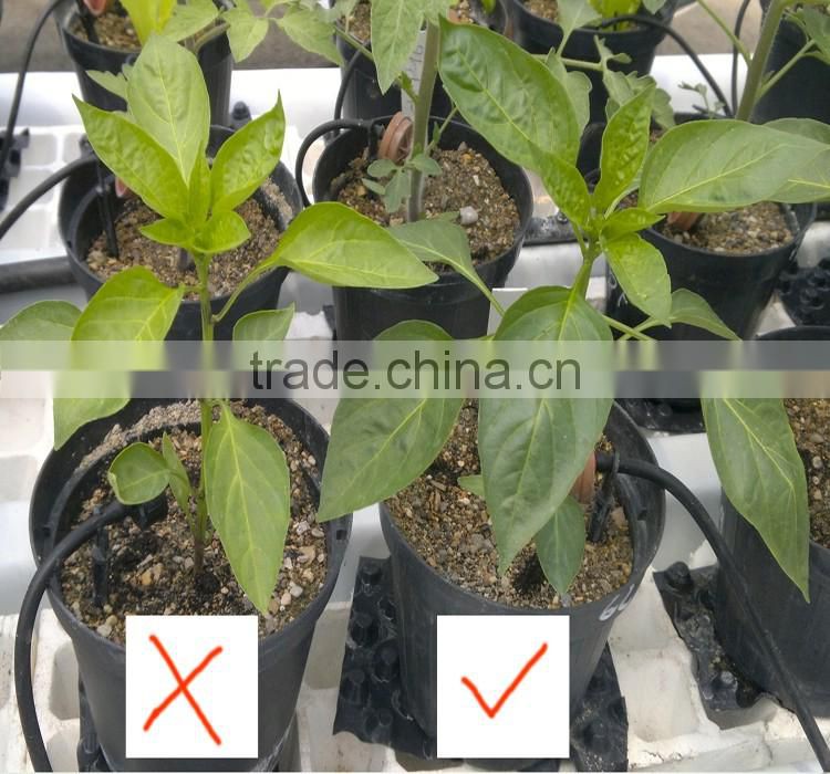 Agrolink High Quality Complex Amino Acid Powder used In Agriculture