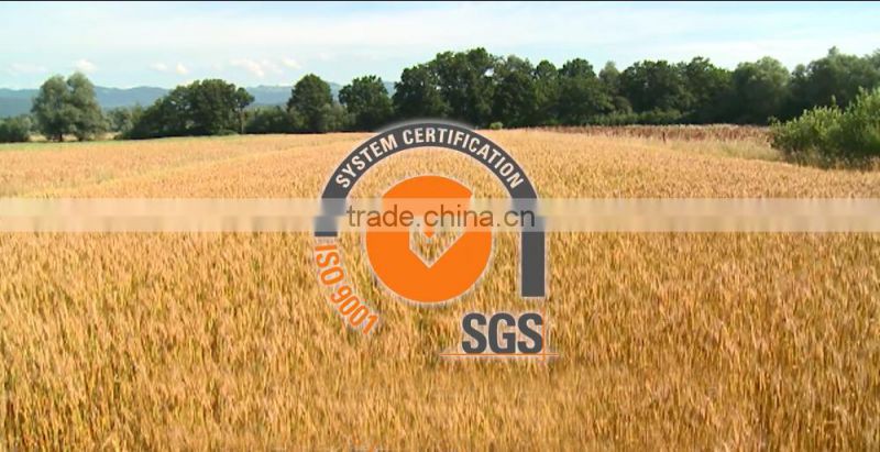 Agrolink High Quality Complex Amino Acid Powder used In Agriculture