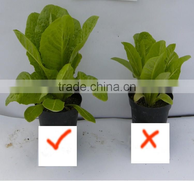 Agrolink Amino Acid Powder 70% Fertilizer Animal Origin Food Grade Plant Origin