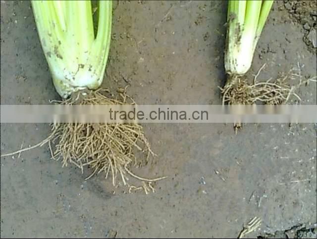 custom animal source amino acid in agriculture