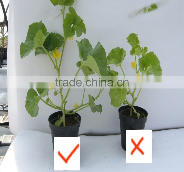 Agrolink feed grade but used in agriculture amino acid fertilizer