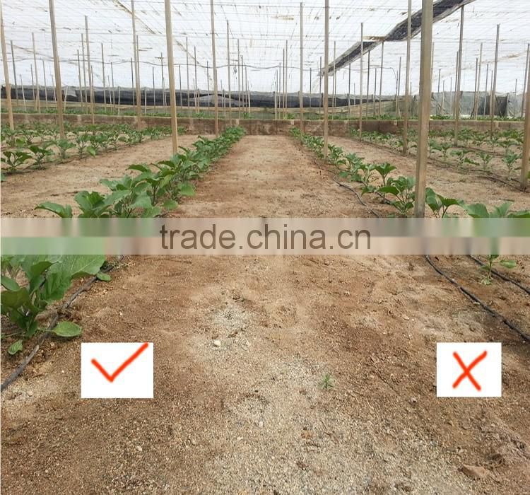 Agrolink High Quality Complex Amino Acid Powder used In Agriculture