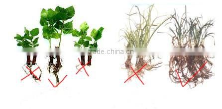 High Quality Amico Acid Threonine 98.5% for sale in good Price