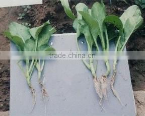 custom animal source amino acid in agriculture