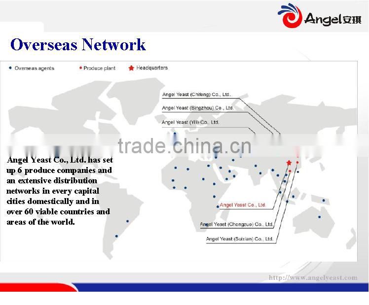 Angel Active Dry Yellow Wine Yeast,Chinese wine,saki