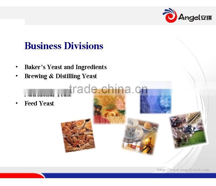 Angel Active Dry Yellow Wine Yeast,Chinese wine,saki