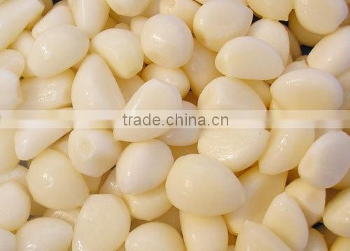 100% natural and pure garlic seed oil