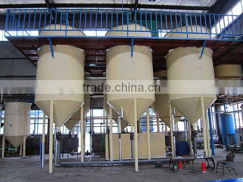 100% Pure and Natural Wild Camellia Seed Oil