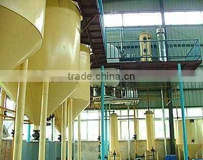 Super high quality essential camellia cooking oil