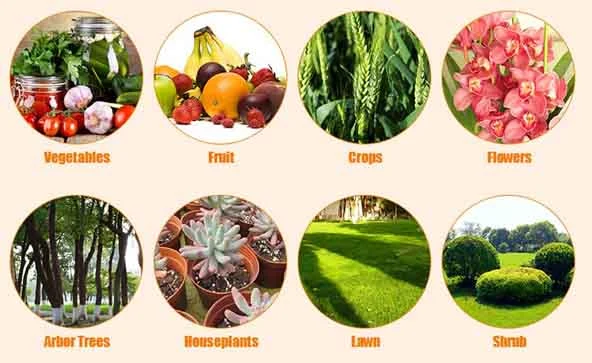 Prilled Urea in Agriculture with High Quality