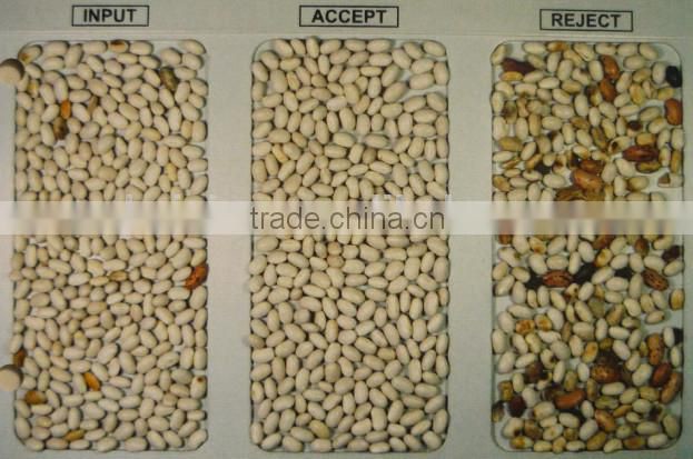 5000+pixel intelligent broad bean sorting machine/beans snack sorting machine