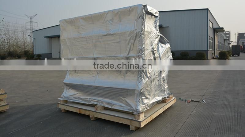 processing machines Dehydrated onion Color Sorter