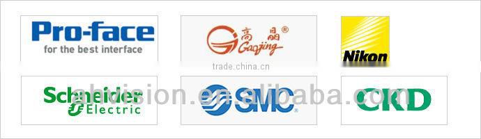 processing machines Dehydrated onion Color Sorter