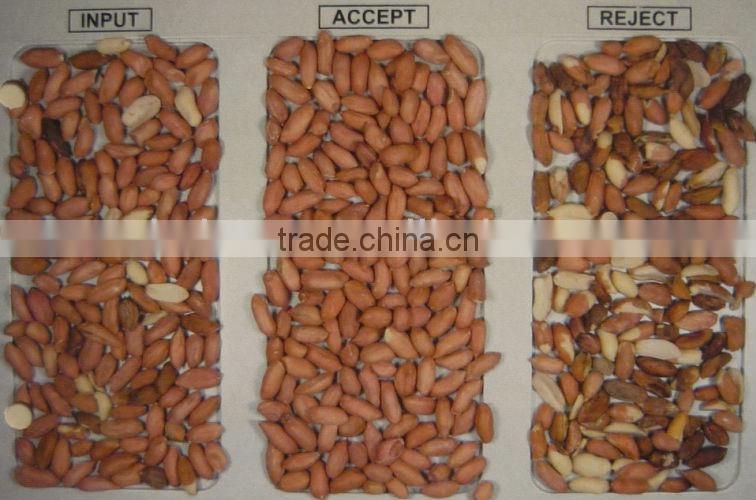 consistent quality CCD color sorter,walnut color sorter