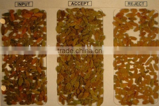 5000+pixel intelligent broad bean sorting machine/beans snack sorting machine