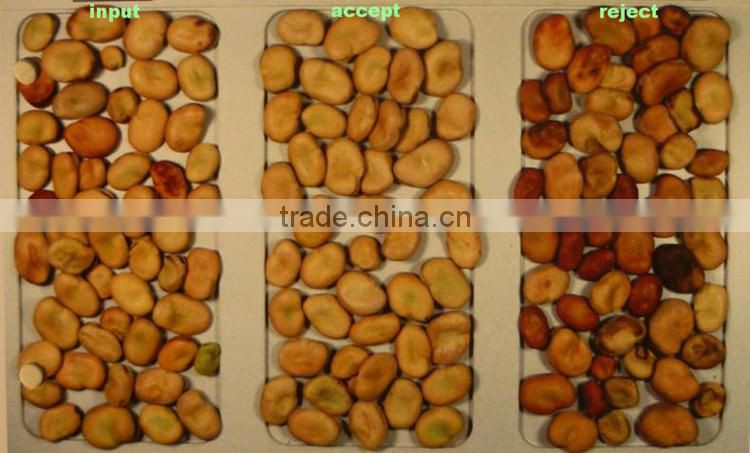 5000+pixel intelligent broad bean sorting machine/beans snack sorting machine