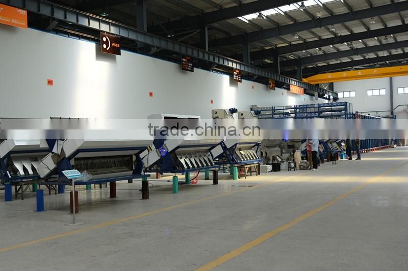 processing machines Dehydrated onion Color Sorter