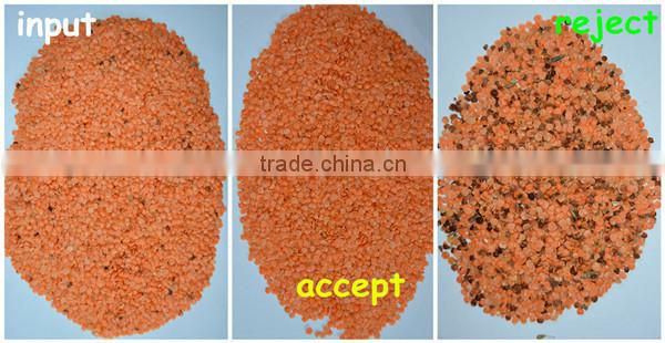 2016 hot sell Color Sorter with 5000+pixel and patented ejector