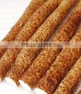 Dried Chinese yam