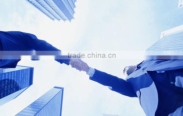 Radix Flos Notoginseng Flower